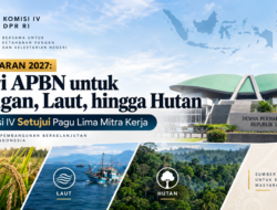 Komisi IV DPR Setujui Pagu Anggaran 2027 Lima Mitra Kerja, Pangan hingga Kehutanan Jadi Perhatian