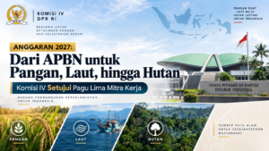 Komisi IV DPR Setujui Pagu Anggaran 2027 Lima Mitra Kerja, Pangan hingga Kehutanan Jadi Perhatian