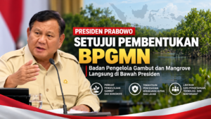 Presiden Prabowo Setujui Pembentukan BPGMN, Badan Pengelola Gambut dan Mangrove Langsung di Bawah Presiden