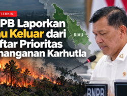 BNPB Laporkan Riau Keluar dari Daftar Prioritas Penanganan Karhutla