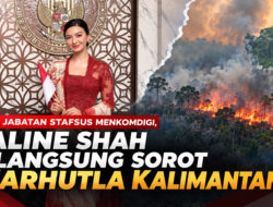 Raline Shah Mundur dari Stafsus Menkomdigi, Isu Karhutla Kalimantan Jadi Sorotan